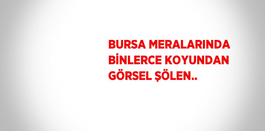 BURSA MERALARINDA BİNLERCE KOYUNDAN GÖRSEL ŞÖLEN..