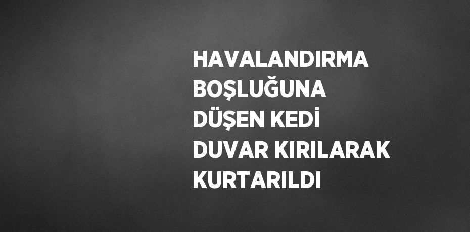HAVALANDIRMA BOŞLUĞUNA DÜŞEN KEDİ DUVAR KIRILARAK KURTARILDI