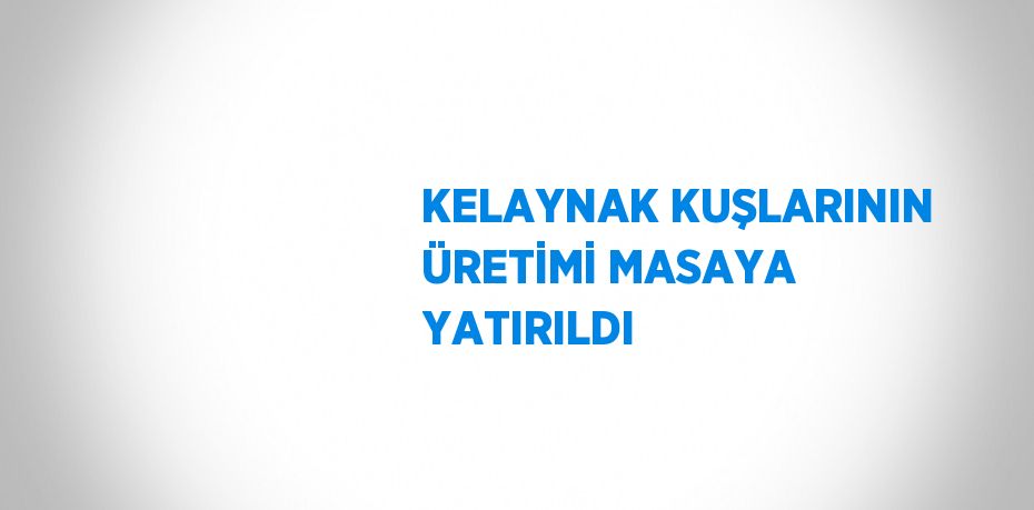 KELAYNAK KUŞLARININ ÜRETİMİ MASAYA YATIRILDI
