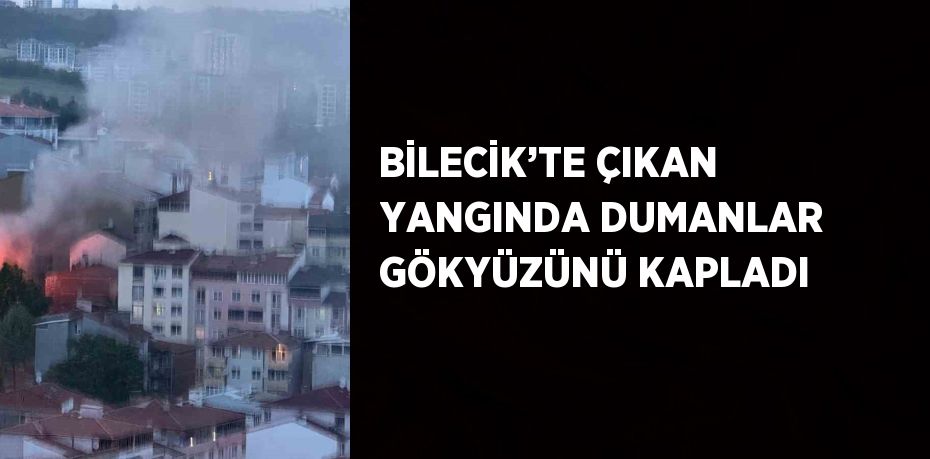 BİLECİK’TE ÇIKAN YANGINDA DUMANLAR GÖKYÜZÜNÜ KAPLADI