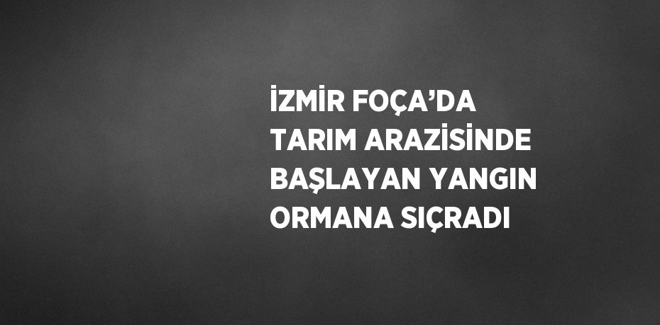 İZMİR FOÇA’DA TARIM ARAZİSİNDE BAŞLAYAN YANGIN ORMANA SIÇRADI