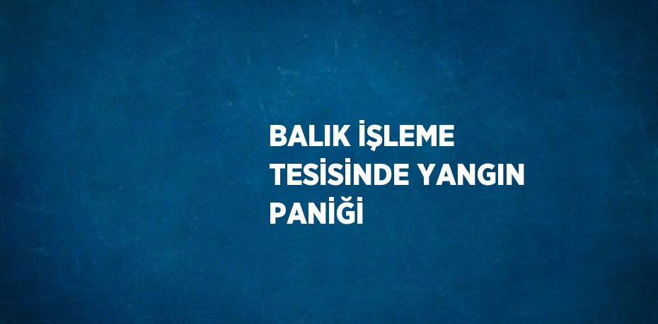 BALIK İŞLEME TESİSİNDE YANGIN PANİĞİ