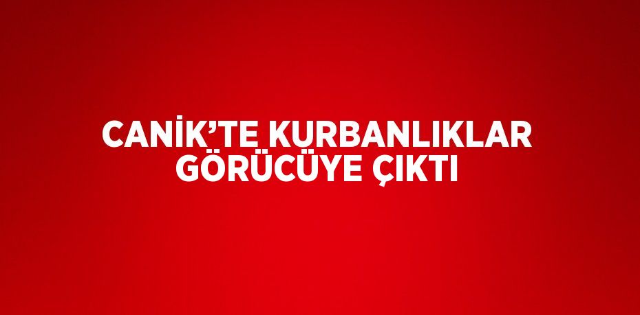 CANİK’TE KURBANLIKLAR GÖRÜCÜYE ÇIKTI