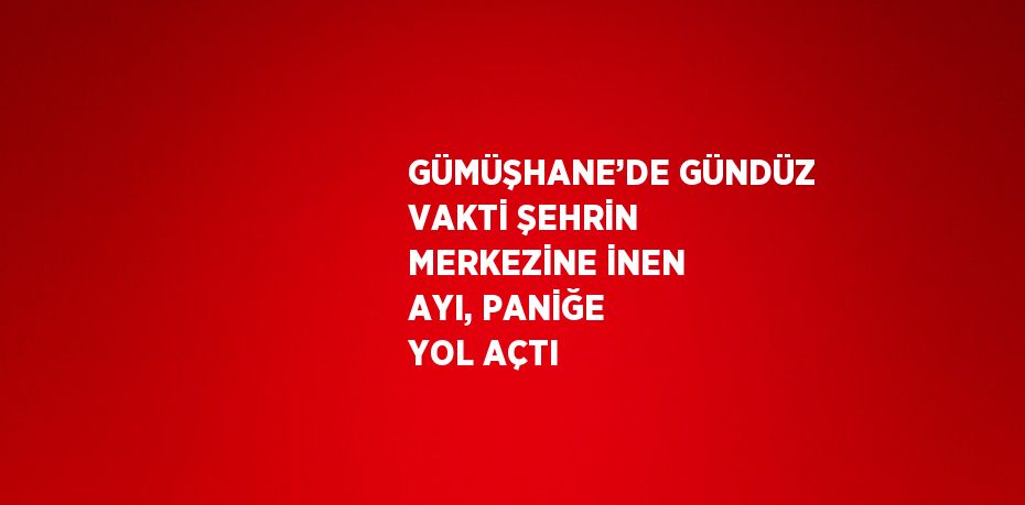 GÜMÜŞHANE’DE GÜNDÜZ VAKTİ ŞEHRİN MERKEZİNE İNEN AYI, PANİĞE YOL AÇTI