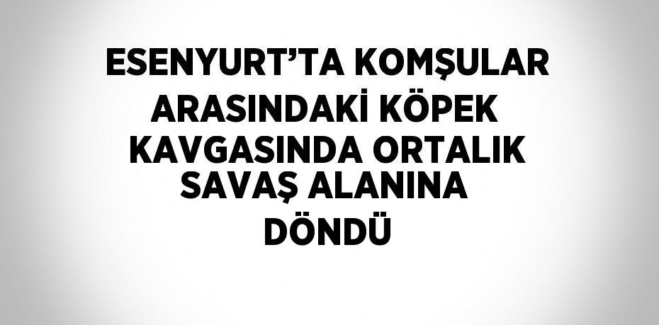 ESENYURT’TA KOMŞULAR ARASINDAKİ KÖPEK KAVGASINDA ORTALIK SAVAŞ ALANINA DÖNDÜ