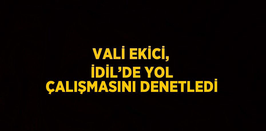 VALİ EKİCİ, İDİL’DE YOL ÇALIŞMASINI DENETLEDİ