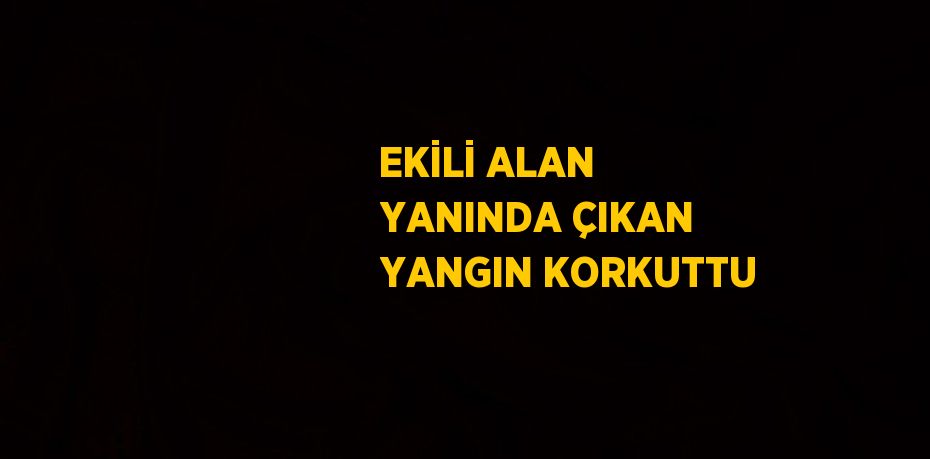 EKİLİ ALAN YANINDA ÇIKAN YANGIN KORKUTTU