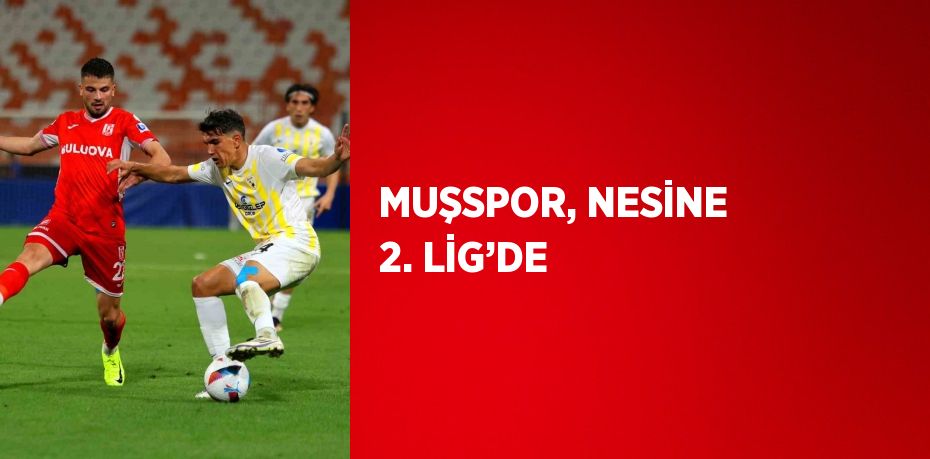 MUŞSPOR, NESİNE 2. LİG’DE