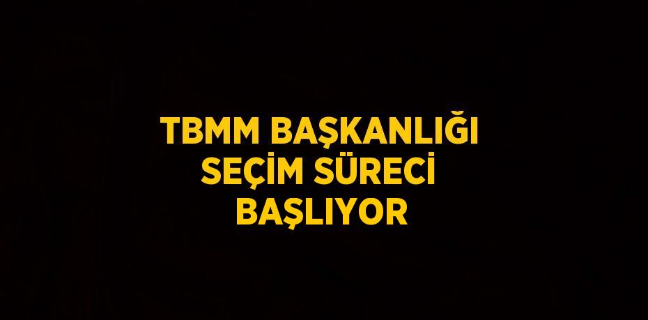 TBMM BAŞKANLIĞI SEÇİM SÜRECİ BAŞLIYOR