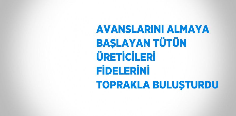 AVANSLARINI ALMAYA BAŞLAYAN TÜTÜN ÜRETİCİLERİ FİDELERİNİ TOPRAKLA BULUŞTURDU