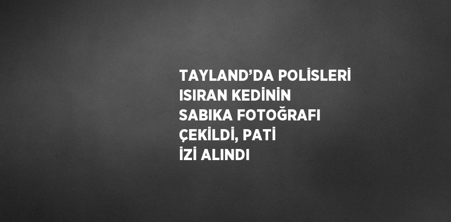 TAYLAND’DA POLİSLERİ ISIRAN KEDİNİN SABIKA FOTOĞRAFI ÇEKİLDİ, PATİ İZİ ALINDI