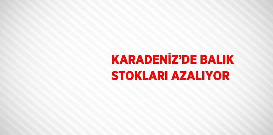 KARADENİZ’DE BALIK STOKLARI AZALIYOR