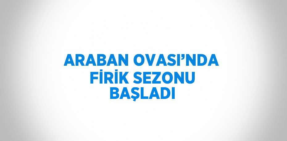 ARABAN OVASI’NDA FİRİK SEZONU BAŞLADI