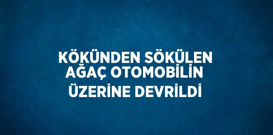 KÖKÜNDEN SÖKÜLEN AĞAÇ OTOMOBİLİN ÜZERİNE DEVRİLDİ