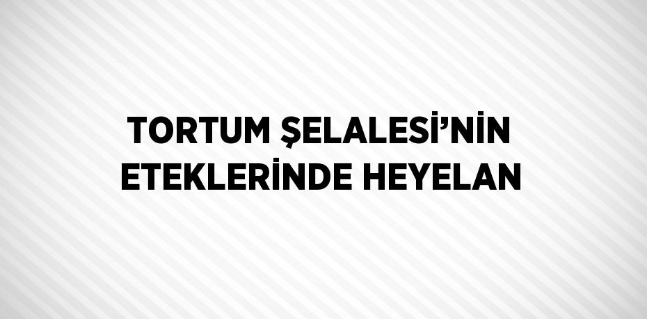TORTUM ŞELALESİ’NİN ETEKLERİNDE HEYELAN