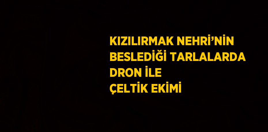 KIZILIRMAK NEHRİ’NİN BESLEDİĞİ TARLALARDA DRON İLE ÇELTİK EKİMİ