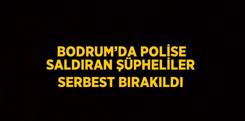 BODRUM’DA POLİSE SALDIRAN ŞÜPHELİLER SERBEST BIRAKILDI