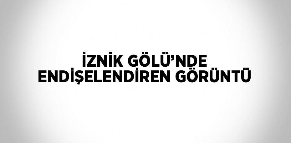İZNİK GÖLÜ’NDE ENDİŞELENDİREN GÖRÜNTÜ