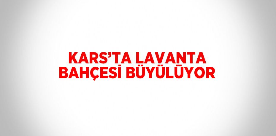 KARS’TA LAVANTA BAHÇESİ BÜYÜLÜYOR