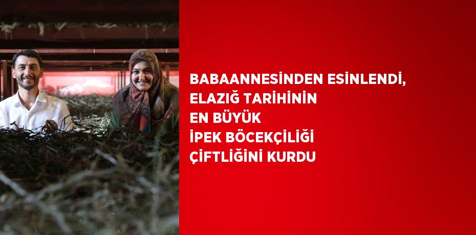 BABAANNESİNDEN ESİNLENDİ, ELAZIĞ TARİHİNİN EN BÜYÜK İPEK BÖCEKÇİLİĞİ ÇİFTLİĞİNİ KURDU