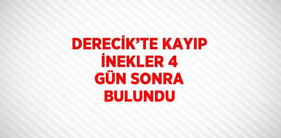 DERECİK’TE KAYIP İNEKLER 4 GÜN SONRA BULUNDU