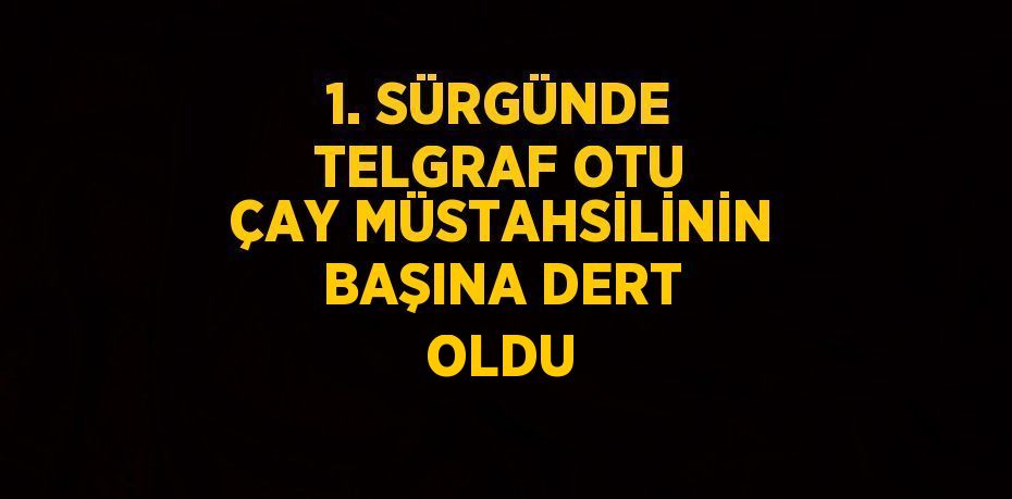 1. SÜRGÜNDE TELGRAF OTU ÇAY MÜSTAHSİLİNİN BAŞINA DERT OLDU