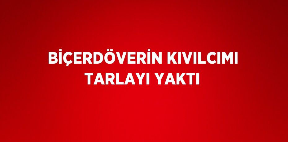 BİÇERDÖVERİN KIVILCIMI TARLAYI YAKTI