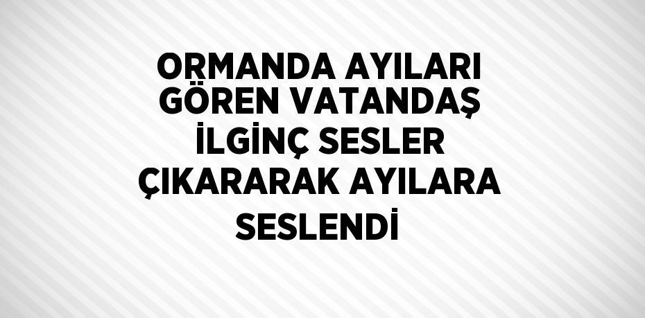 ORMANDA AYILARI GÖREN VATANDAŞ İLGİNÇ SESLER ÇIKARARAK AYILARA SESLENDİ