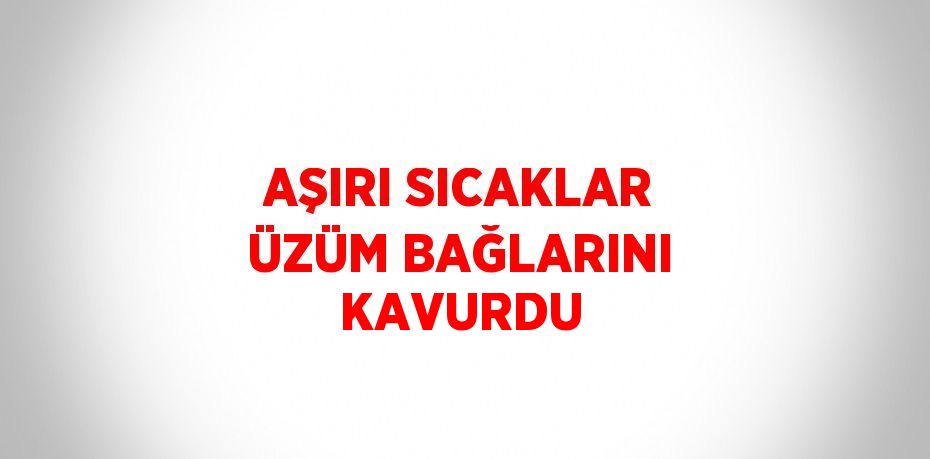 AŞIRI SICAKLAR ÜZÜM BAĞLARINI KAVURDU