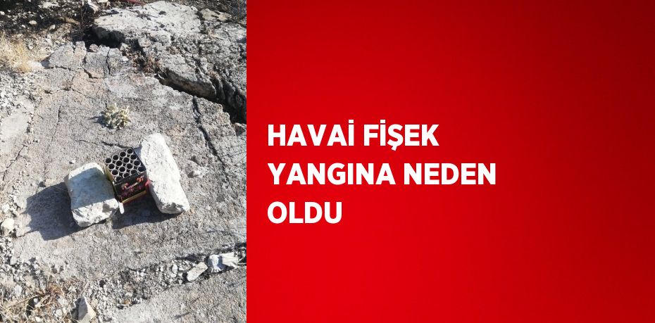 HAVAİ FİŞEK YANGINA NEDEN OLDU