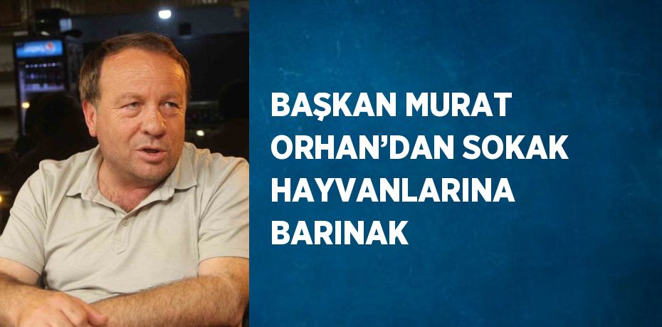 BAŞKAN MURAT ORHAN’DAN SOKAK HAYVANLARINA BARINAK