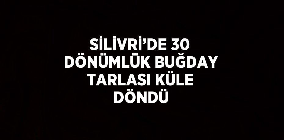 SİLİVRİ’DE 30 DÖNÜMLÜK BUĞDAY TARLASI KÜLE DÖNDÜ