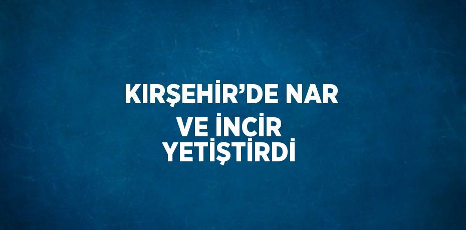 KIRŞEHİR’DE NAR VE İNCİR YETİŞTİRDİ