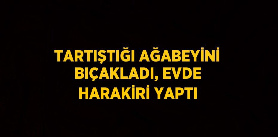 TARTIŞTIĞI AĞABEYİNİ BIÇAKLADI, EVDE HARAKİRİ YAPTI