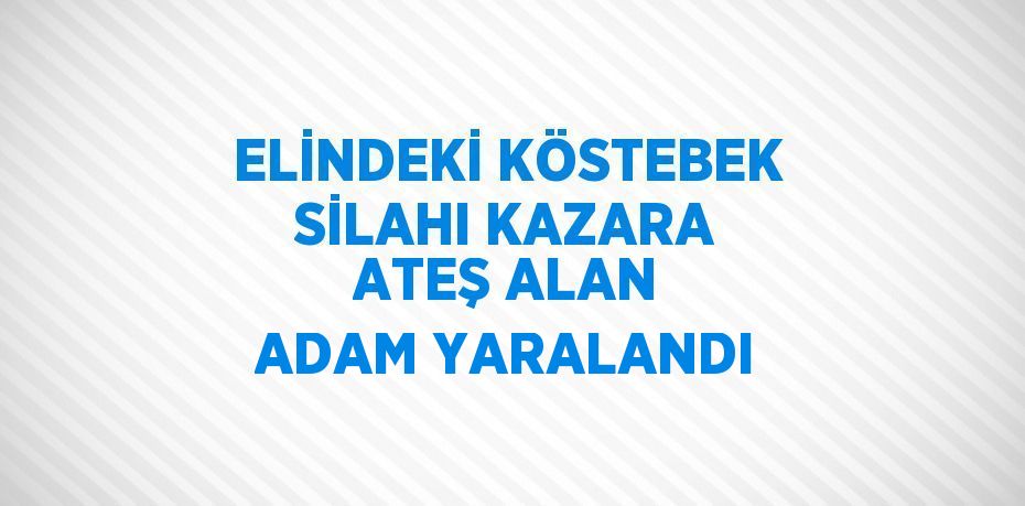 ELİNDEKİ KÖSTEBEK SİLAHI KAZARA ATEŞ ALAN ADAM YARALANDI