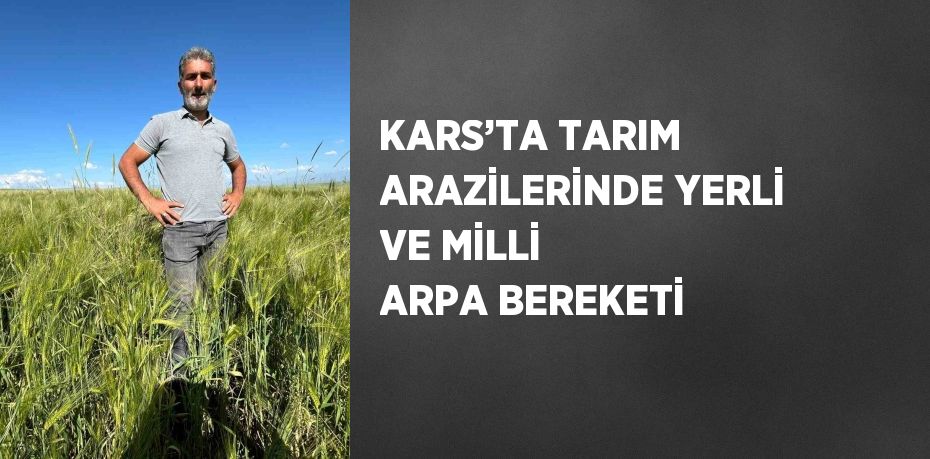KARS’TA TARIM ARAZİLERİNDE YERLİ VE MİLLİ ARPA BEREKETİ