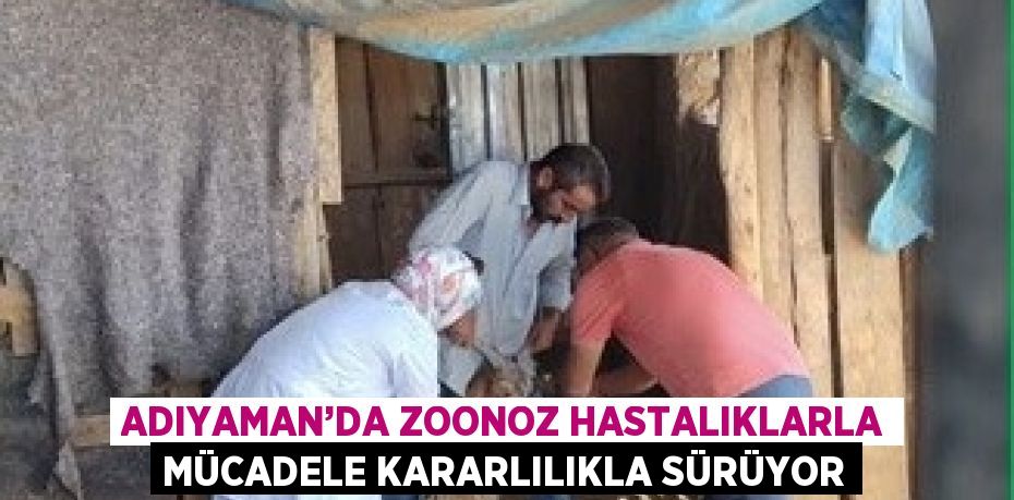 ADIYAMAN’DA ZOONOZ HASTALIKLARLA MÜCADELE KARARLILIKLA SÜRÜYOR