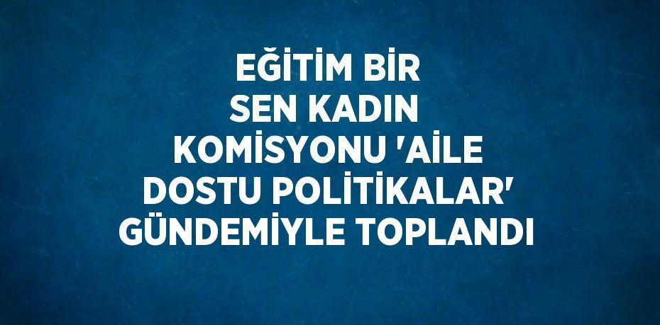 EĞİTİM BİR SEN KADIN KOMİSYONU 'AİLE DOSTU POLİTİKALAR' GÜNDEMİYLE TOPLANDI