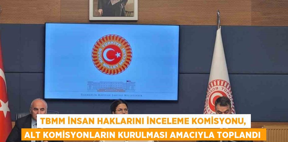 TBMM İNSAN HAKLARINI İNCELEME KOMİSYONU, ALT KOMİSYONLARIN KURULMASI AMACIYLA TOPLANDI