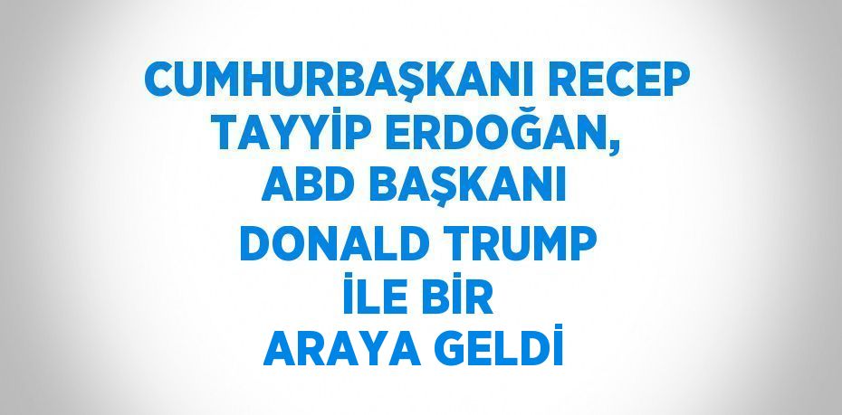 CUMHURBAŞKANI RECEP TAYYİP ERDOĞAN, ABD BAŞKANI DONALD TRUMP İLE BİR ARAYA GELDİ