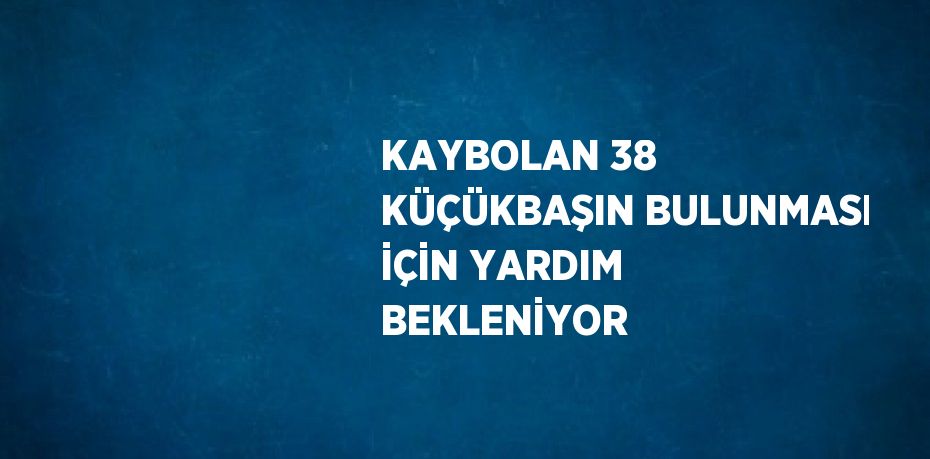 KAYBOLAN 38 KÜÇÜKBAŞIN BULUNMASI İÇİN YARDIM BEKLENİYOR