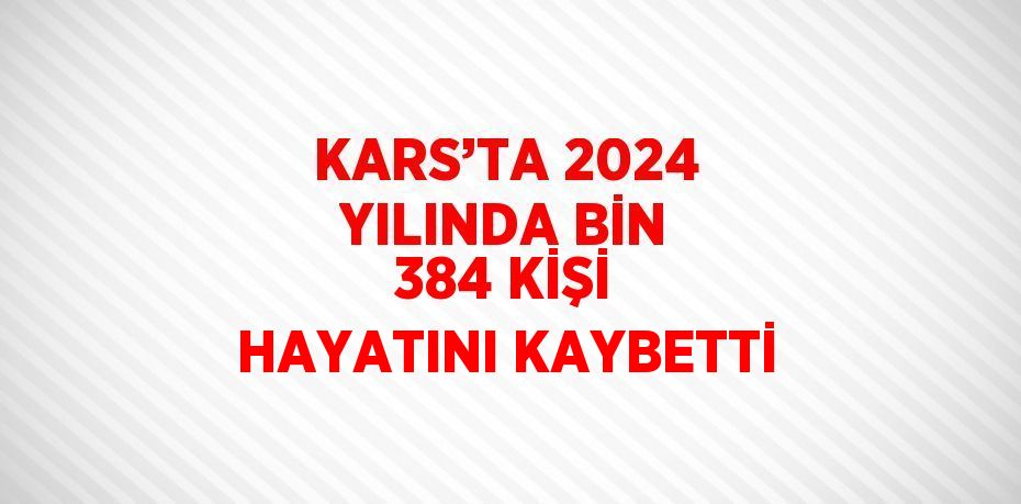 KARS’TA 2024 YILINDA BİN 384 KİŞİ HAYATINI KAYBETTİ