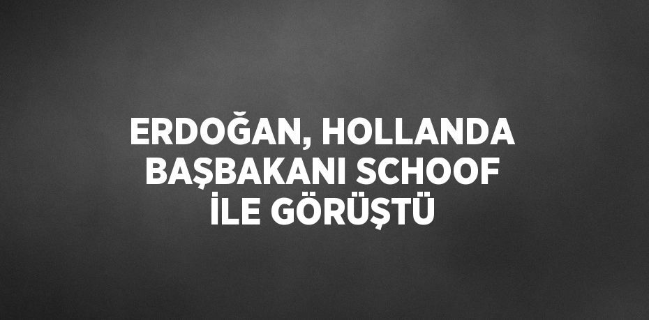 ERDOĞAN, HOLLANDA BAŞBAKANI SCHOOF İLE GÖRÜŞTÜ