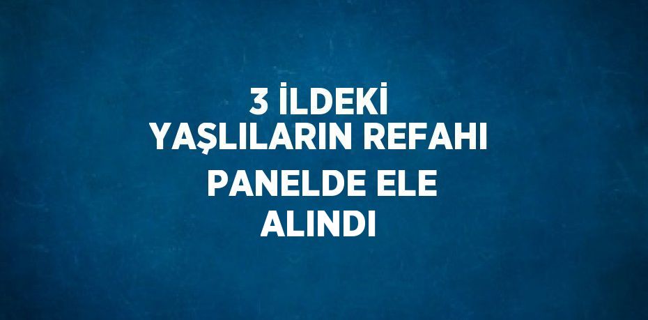 3 İLDEKİ YAŞLILARIN REFAHI PANELDE ELE ALINDI