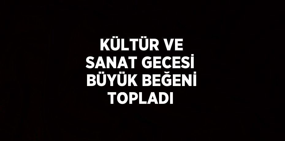KÜLTÜR VE SANAT GECESİ BÜYÜK BEĞENİ TOPLADI