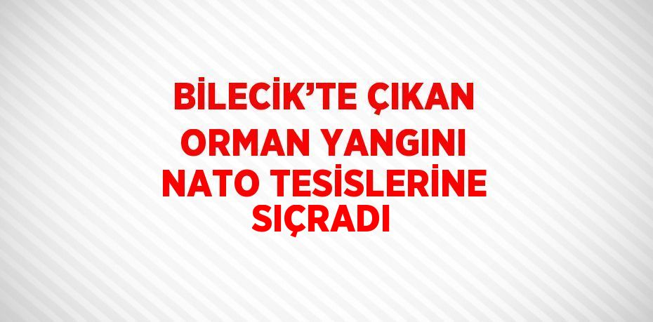 BİLECİK’TE ÇIKAN ORMAN YANGINI NATO TESİSLERİNE SIÇRADI