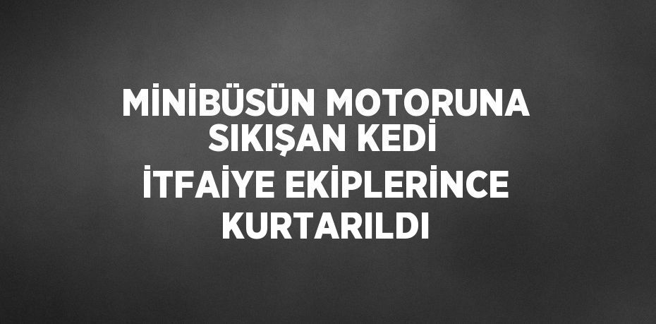 MİNİBÜSÜN MOTORUNA SIKIŞAN KEDİ İTFAİYE EKİPLERİNCE KURTARILDI