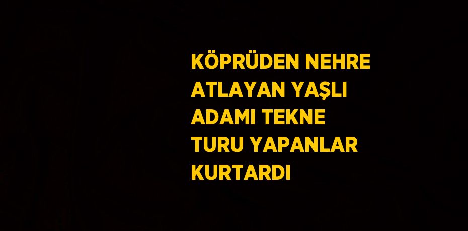 KÖPRÜDEN NEHRE ATLAYAN YAŞLI ADAMI TEKNE TURU YAPANLAR KURTARDI