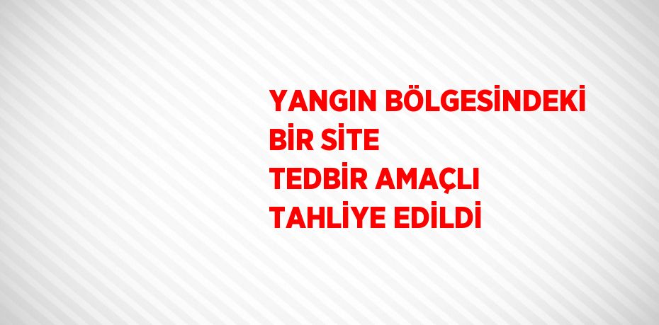 YANGIN BÖLGESİNDEKİ BİR SİTE TEDBİR AMAÇLI TAHLİYE EDİLDİ