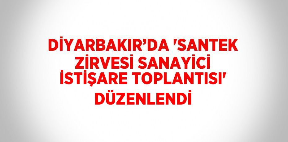 DİYARBAKIR’DA 'SANTEK ZİRVESİ SANAYİCİ İSTİŞARE TOPLANTISI' DÜZENLENDİ